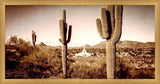 Phoenix Saguaro Cactus