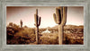 Phoenix Saguaro Cactus