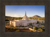 Phoenix Evening Warmth Aerial