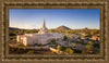 Phoenix Evening Warmth Aerial