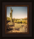 Phoenix Cactus Hill