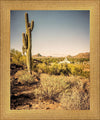 Phoenix Cactus Hill