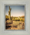 Phoenix Cactus Hill