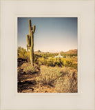 Phoenix Cactus Hill