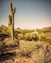 Phoenix Cactus Hill