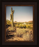 Phoenix Cactus Hill