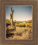 Phoenix Cactus Hill