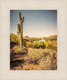 Phoenix Cactus Hill