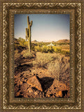 Phoenix Cactus Hill