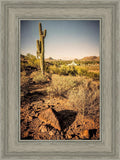 Phoenix Cactus Hill