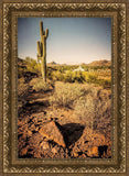 Phoenix Cactus Hill