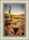 Phoenix Cactus Hill