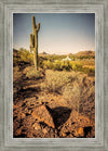 Phoenix Cactus Hill