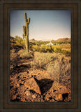 Phoenix Cactus Hill