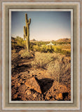 Phoenix Cactus Hill