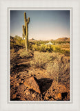 Phoenix Cactus Hill