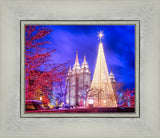 Temple Square Christmas Tree