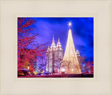 Temple Square Christmas Tree