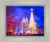 Temple Square Christmas Tree