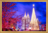 Temple Square Christmas Tree