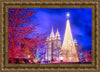 Temple Square Christmas Tree