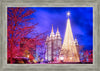 Temple Square Christmas Tree