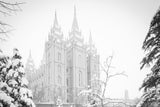 Salt Lake City High Key Snow