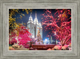 Salt Lake City Christmas Lights