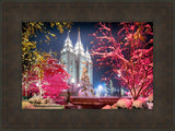 Salt Lake City Christmas Lights