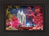 Salt Lake City Christmas Lights