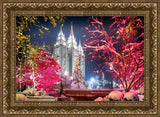 Salt Lake City Christmas Lights