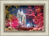 Salt Lake City Christmas Lights