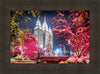 Salt Lake City Christmas Lights