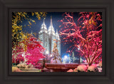 Salt Lake City Christmas Lights