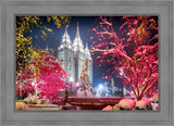 Salt Lake City Christmas Lights