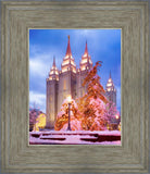 Salt Lake Christmas Temple