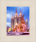 Salt Lake Christmas Temple