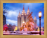 Salt Lake Christmas Temple