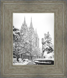 Salt Lake White Christmas