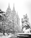 Salt Lake White Christmas