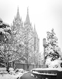 Salt Lake White Christmas