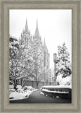 Salt Lake White Christmas