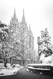 Salt Lake White Christmas