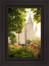 Salt Lake - The Lord is My Light (Vertical)