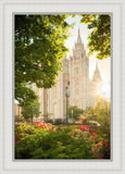 Salt Lake - The Lord is My Light (Vertical)