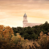 Cedar City Golden