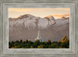 Mt. Timpanogos You’re not Alone