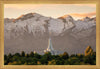 Mt. Timpanogos You’re not Alone