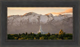 Mt. Timpanogos You’re not Alone