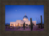 Tucson Cactus Morning